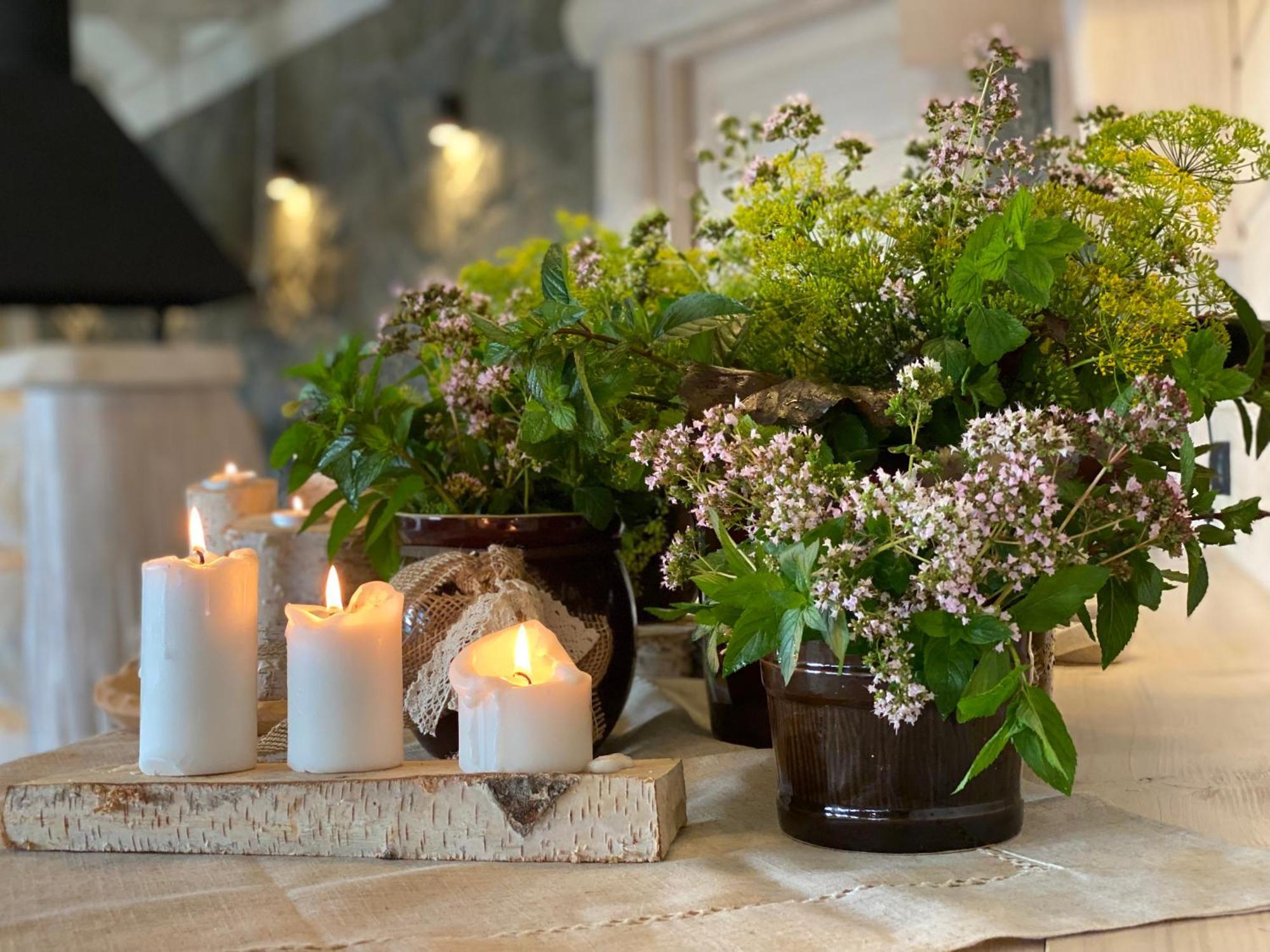 Tylickie Wzgorze Spa & Wellness Pensjonat Dla Rodzin Z Dziecmi Тылич Экстерьер фото